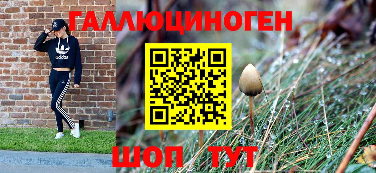 Клин  цены   Вход с VPN  Псилоцибиновые грибы ЛСД 